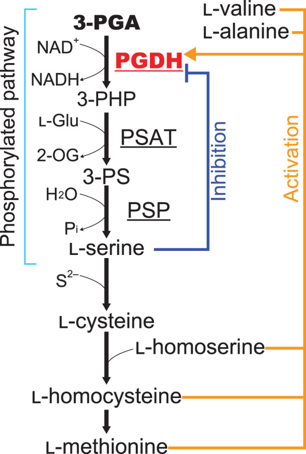 Figure 1.