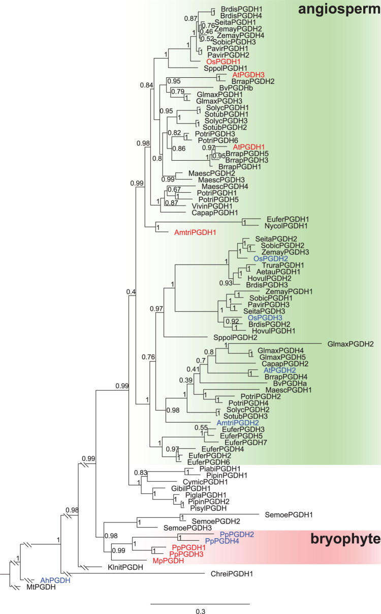 Figure 7.