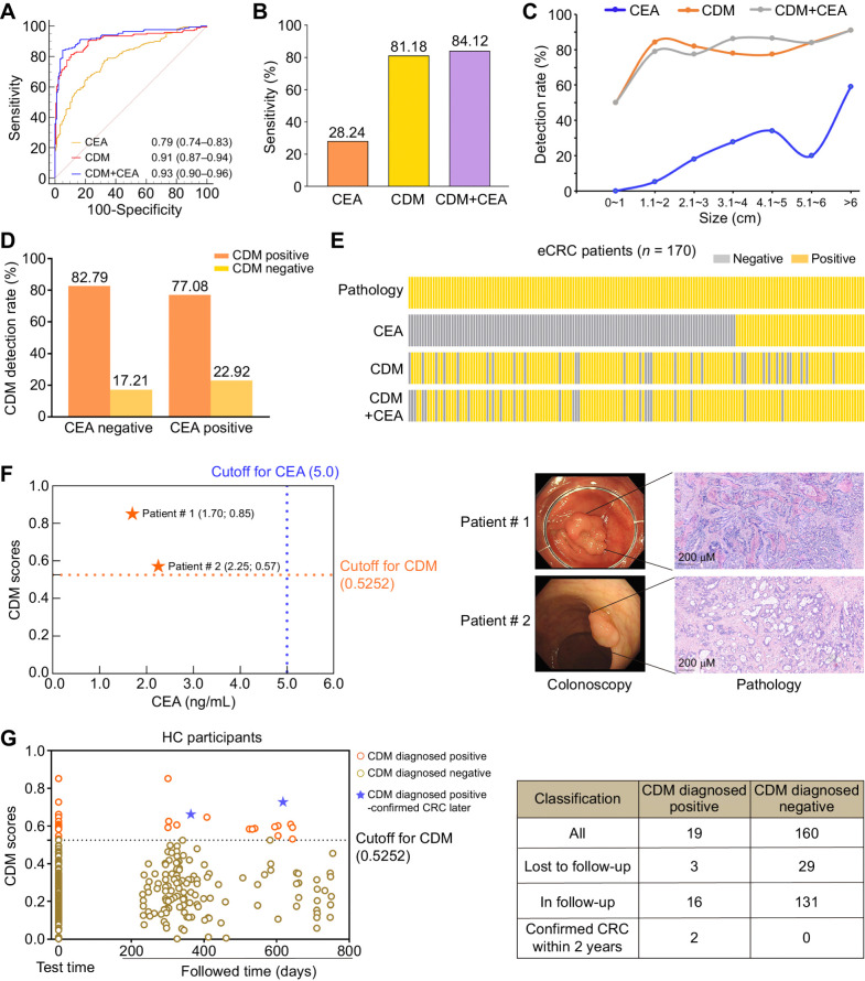 Figure 6. Performance evaluation of CDM in detecting early-stage colorectal cancer. A, The ROCs of CDM, CEA, or both for colorectal cancer versus healthy controls. B, The sensitivity of the CDM, CEA, or both in early-stage colorectal cancer cases were calculated by determined cut-off values (cut-off value for CDM = 0.5252; cut-off value for CEA = 5 ng/mL; cut-off value for CDM+CEA = 0.5776). C, Detection rates of CDM, CEA, or both in patients with early-stage colorectal cancer overall increased with tumor size. D, CDM detection rate in CEA-negative and CEA-positive early-stage colorectal cancer cases. E, For patients with early-stage colorectal cancer in cohort V, the real disease status and the disease status diagnosed by CDM and CEA, or both are shown in a waffle chart. Each column represents an individual participant. Gray, patients diagnosed as negative according to corresponding method; yellow, positive. F, Example of two patients with tumor detected by CDM but missed by CEA, who were later diagnosed by pathology. The magnifications of the images in pathology were ×20. G, Scatter plots of follow-up results of healthy control participants in cohort V diagnosed by CDM at the time of enrollment. CDM, CRC diagnostic model; CRC, colorectal cancer; eCRC, early-stage colorectal cancer; HC, healthy controls.