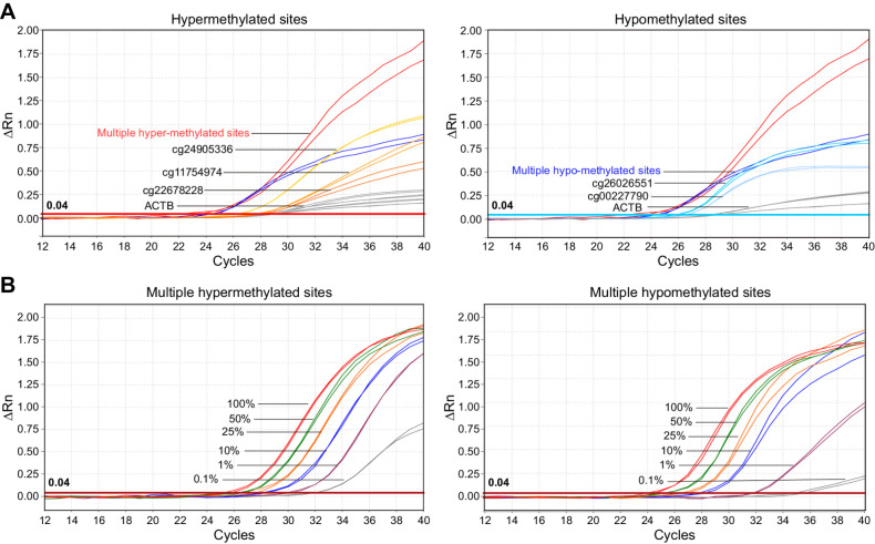 Figure 4. Performance evaluation of multi-msqPCR. A, Comparison between the multi-msqPCR and uniplex-msqPCR assays. The multi-msqPCR assay produced higher ΔCq values than uniplex-msqPCR assays [6.13 (ΔCq multiple hypermethylated sites) versus 1.44 (ΔCq cg11754974), 1.97 (ΔCq cg24905336), 0.47 (ΔCq cg22678228; left) and 4.43 (ΔCq multiple hypomethylated sites) versus 2.18 (ΔCq cg26026551), 1.79 (ΔCq cg00227790; right)]. B, Assessment of the analytic sensitivity of the multi-msqPCR assay. Primer probe sets for multiple hypermethylated sites (left) and multiple hypomethylated sites (right) were tested for two technical replicates with fold dilutions of 50 ng bisulfite-converted DNA. The multi-msqPCR assay detected tumor DNA signals with as little as 0.1%. ΔCq = (CqACTB− Cqbiomarker).