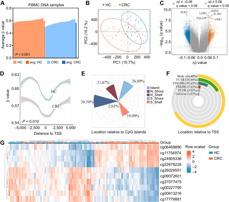 Figure 2. DNA methylation landscape of colorectal cancer delineated using Illumina 850K DNA methylation array in the discovery stage. A, Average methylation levels of all CpG sites in PBMCs DNA that passed quality control for individual healthy controls (HC; orange), average of all healthy controls (avg. healthy controls; dark orange), individual colorectal cancer (blue), and average of all colorectal cancer (avg. colorectal cancer; dark blue), P values were determined by the Mann–Whitney U test. B, PLS-DA performed using all CpG sites. Samples from colorectal cancer and healthy controls are shown in different colors; blue dots, healthy controls; orange dots, colorectal cancer. C, Volcano plot representing DMPs:|Δβ (methylation average in colorectal cancer cases - methylation average in healthy controls) | > 0.06 and q value < 0.05 (q value means Benjamini–Hochberg Padj value. Red, significantly hypermethylated CpG sites; blue, hypomethylated CpG sites in colorectal cancer cases. Representative genes related to immunity were annotated. D, The global methylation change of DMPs close to TSS in PBMCs DNA of colorectal cancer cases was hypomethylated. P values were determined by the Kolmogorov–Smirnov test. E, Classification of differentially methylated CpG sites according to CpG islands. F, Classification of differentially methylated CpG sites according to their location relative to their genomic distribution. G, Hierarchical clustering of ten DMPs from the discovery set analysis of Illumina 850K data. CRC, colorectal cancer; PC, principal component.