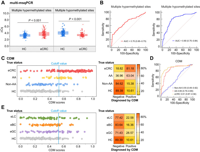 Figure 5. Development of CDM for early-stage colorectal cancer diagnosis. A, Methylation levels of PBMCs DNA as quantified by the multi-msqPCR assay in 349 individuals (170 early-stage colorectal cancer and 179 healthy controls) from multiclinical sites, where a higher ΔCq value represents a higher methylation level. P values between different groups were determined by the Mann–Whitney U test. B, The ROCs demonstrate the performance of the multi-msqPCR assay for distinguishing early-stage colorectal cancer cases from healthy controls in multicenter cohort. C, A CDM score of 0.5252 was used as the cut-off value. Samples were classified as negative or positive according to the CDM score and the detection percentages are shown in the corresponding confusion matrix on the right. D, The ROCs of the CDM for the detection of early-stage colorectal cancer, advanced adenoma, and non–advanced adenoma cases. E, The multi-msqPCR assay was performed in 180 patients with different types of cancer (62 early-stage lung cancer cases, 55 early-stage breast cancer, and 63 early-stage gastric cancer). All samples were classified as negative or positive according to the cut-off value of 0.5252 and the classification results are shown in the corresponding confusion matrix on the right. AA, advanced adenomas; CDM, CRC diagnostic model; CRC, colorectal cancer; eGC, early-stage gastric cancer; eBC, early-stage breast cancer; eLC, early-stage lung cancer HC, healthy controls; non-AA, non-advanced adenomatous polyps.