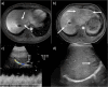 Fig. 6