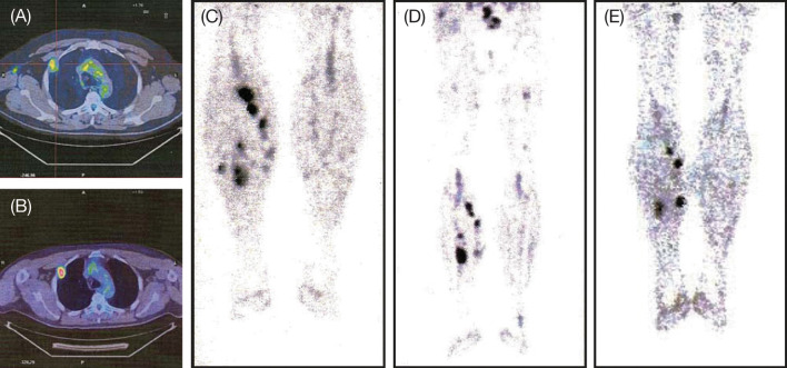 Fig. 3