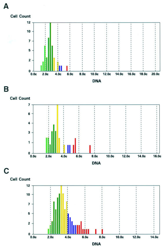 Figure 6  