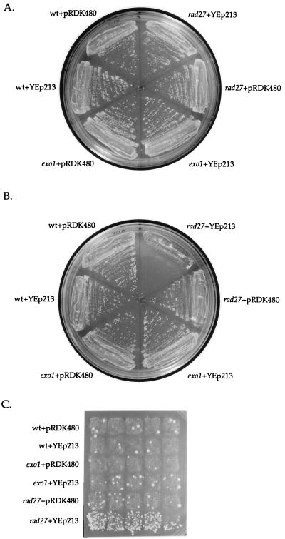 Figure 5