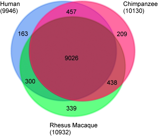 Figure 2.—