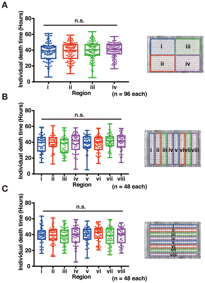 Figure 4—figure supplement 2.