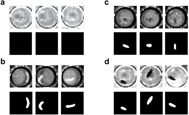 Appendix 8—figure 1.