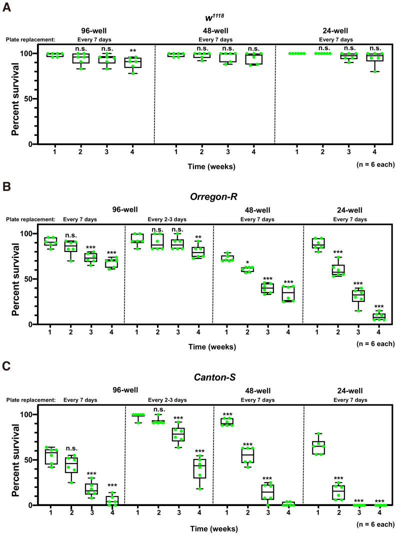 Figure 6—figure supplement 1.