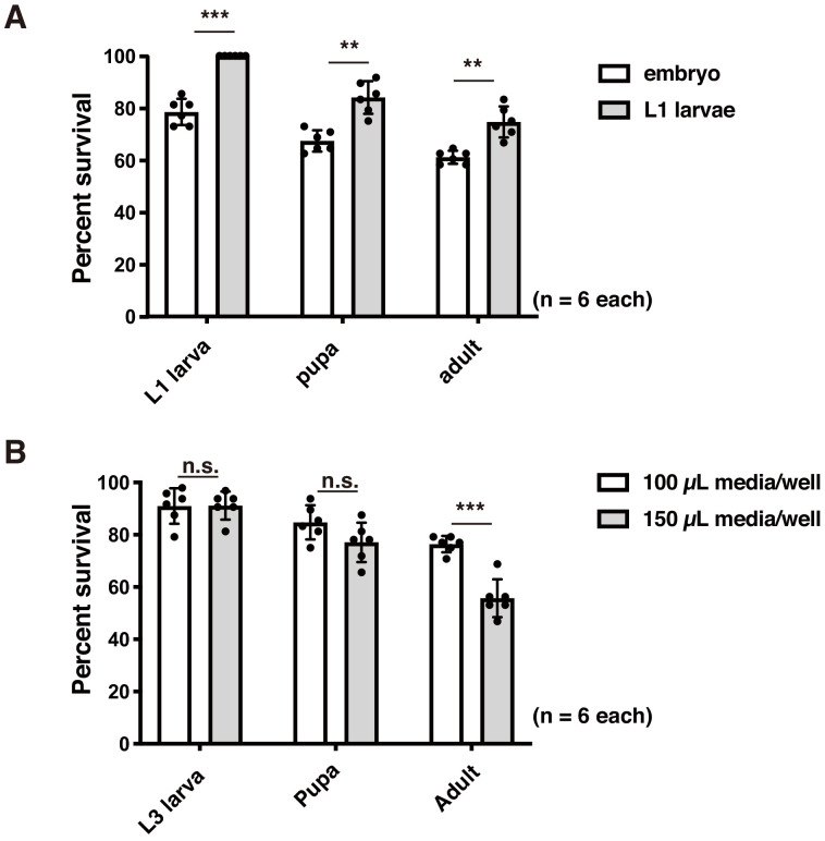 Figure 2—figure supplement 1.