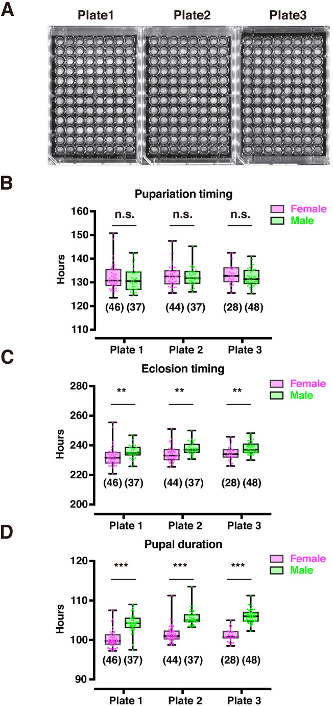 Figure 2—figure supplement 4.