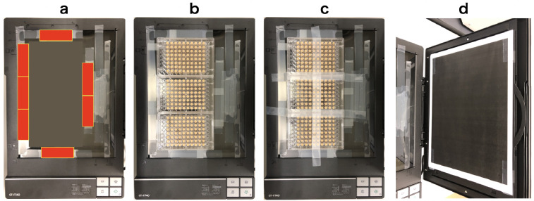 Appendix 5—figure 1.