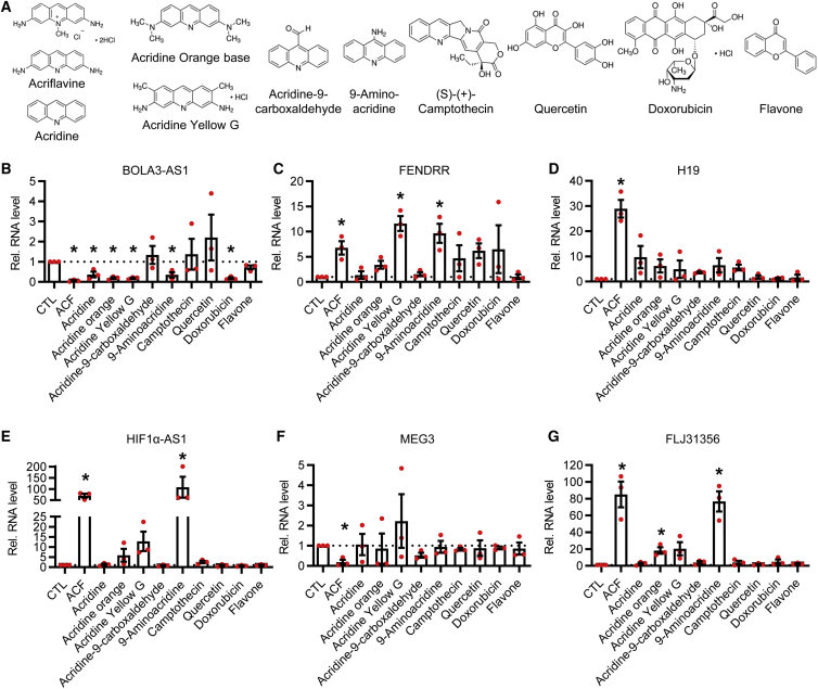 Figure 6