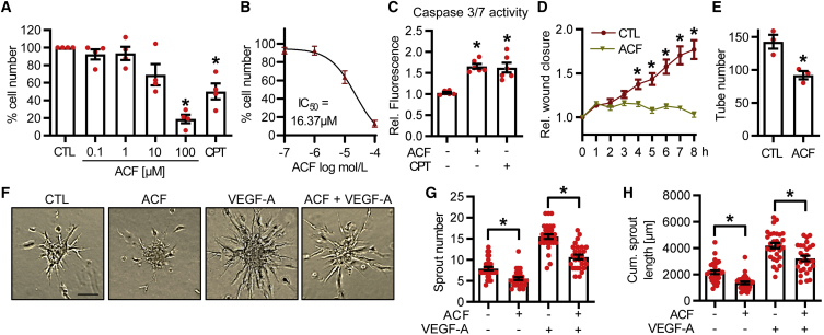 Figure 3