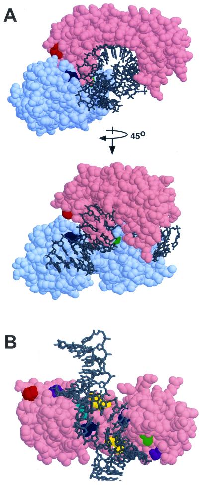 FIG. 1.