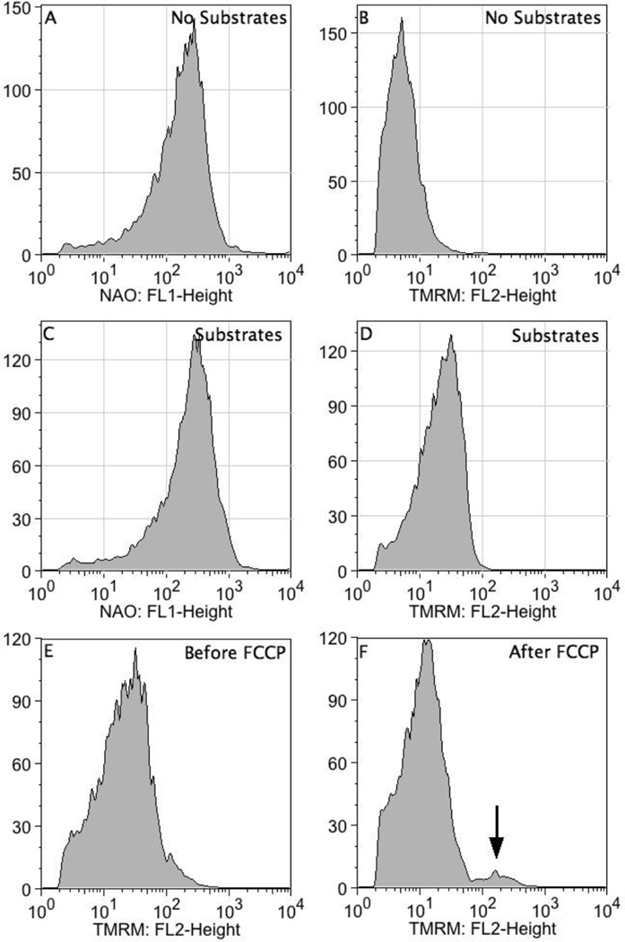 FIGURE 3