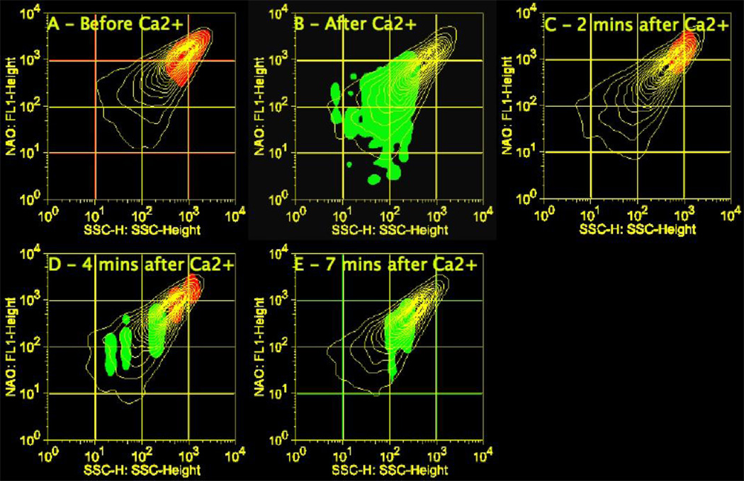 FIGURE 10