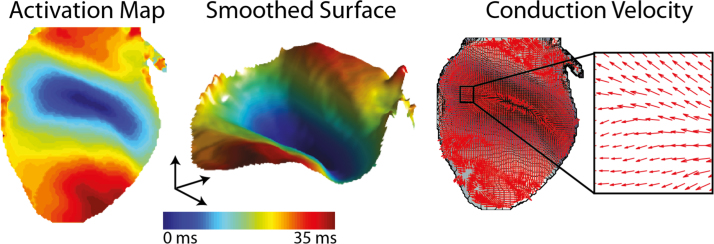 Fig. 7