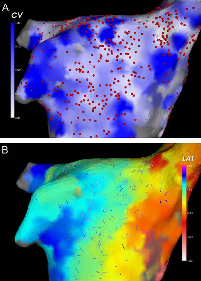 Fig. 4