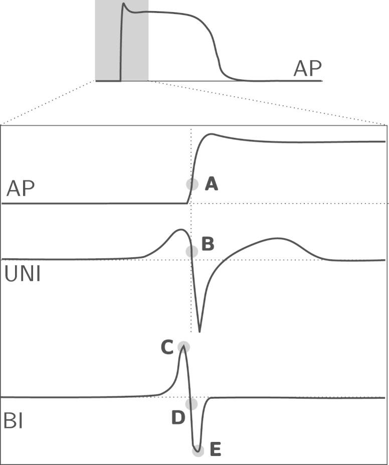 Fig. 1