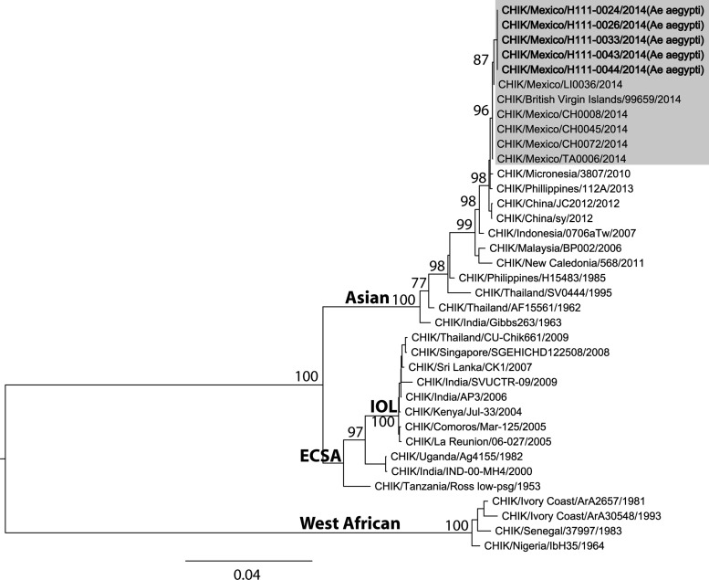 Figure 2.