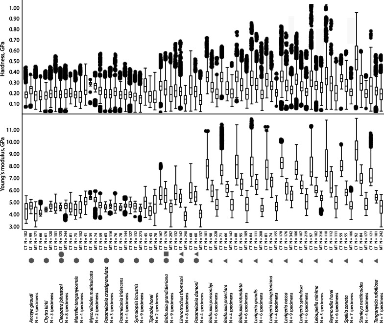 Fig. 10