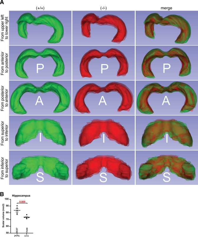 Fig 9