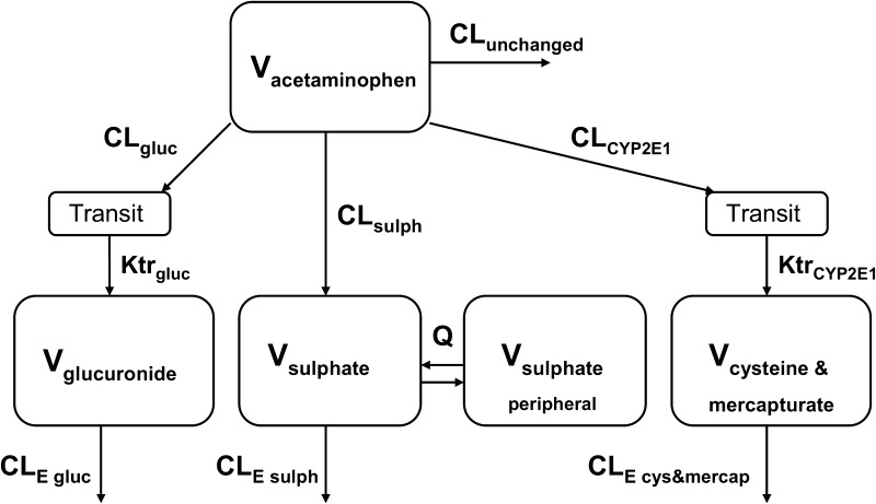 Fig. 1