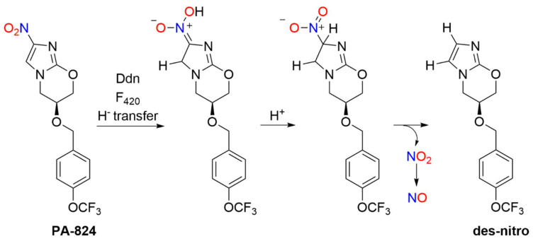 Scheme 7