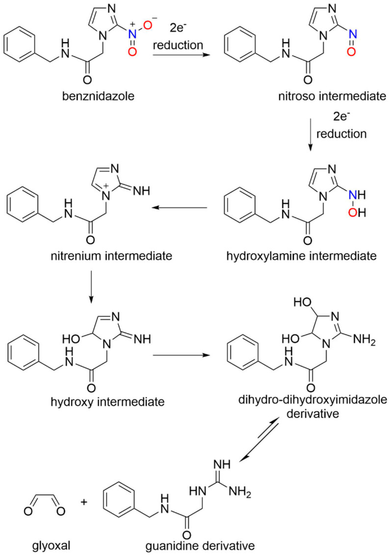 Scheme 6