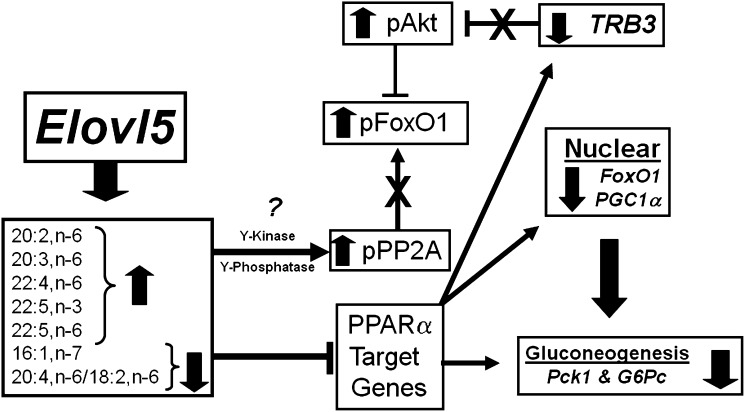 Fig. 10.