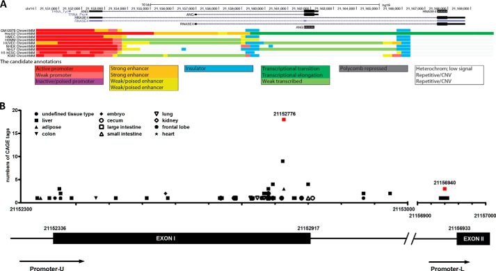 FIGURE 1.