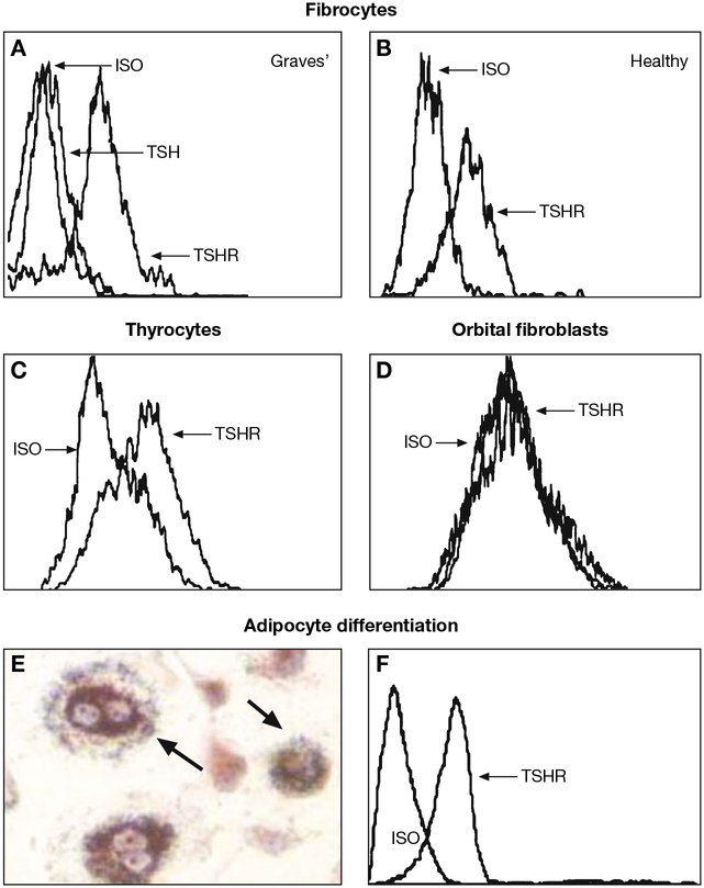 Fig. 2 -