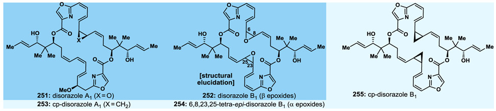 Fig. 17