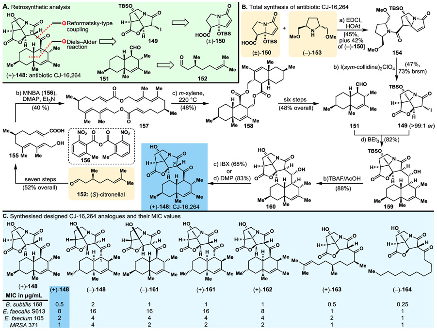 Fig. 10