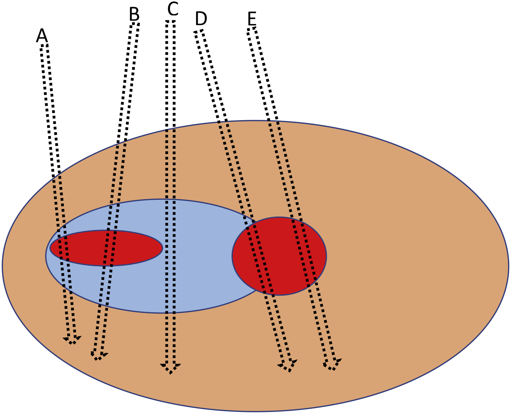 Fig. 1 –