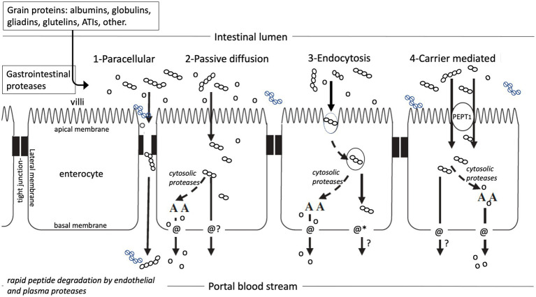 Figure 4