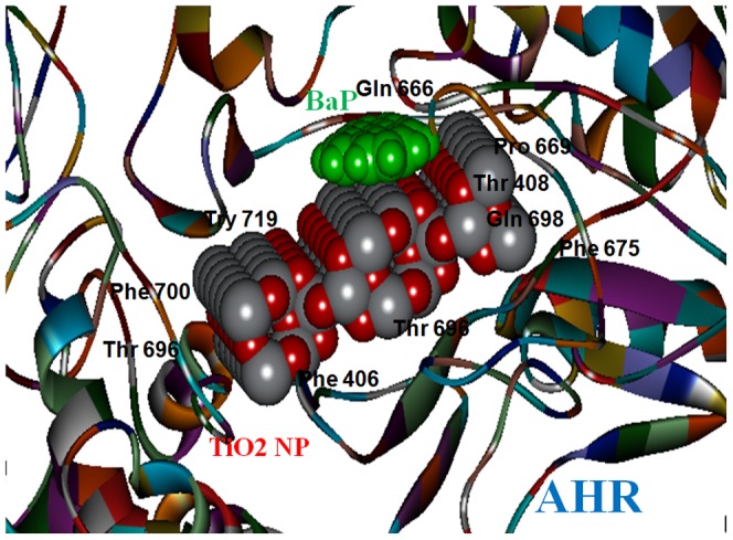 Figure 13