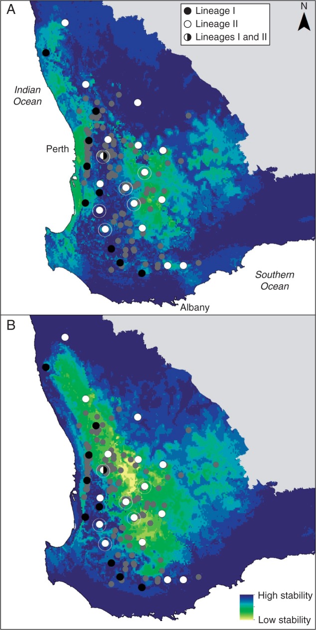 Fig. 4.