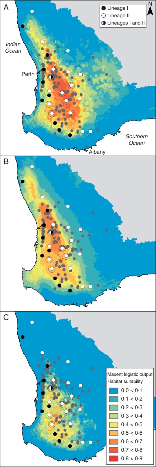 Fig. 3.