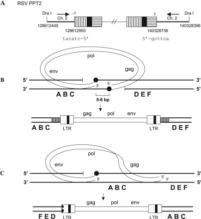 FIG. 2.