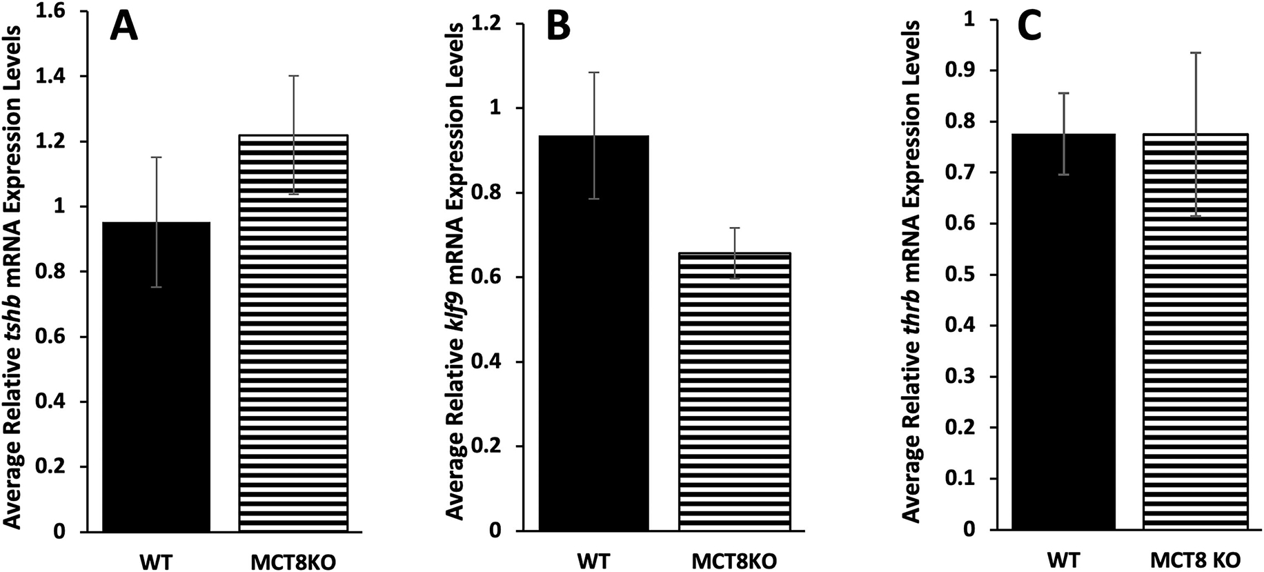 Figure 5: