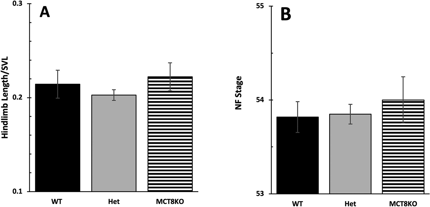 Figure 6: