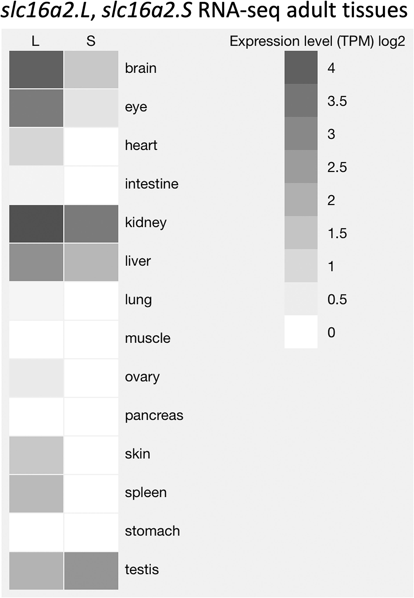 Figure 2: