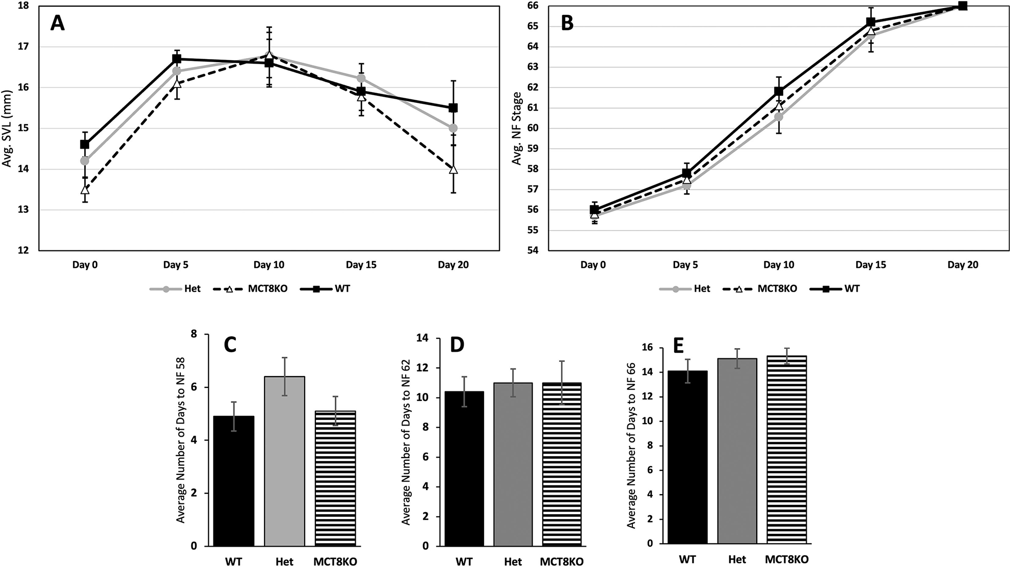 Figure 4: