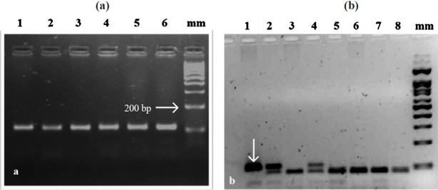 Fig.