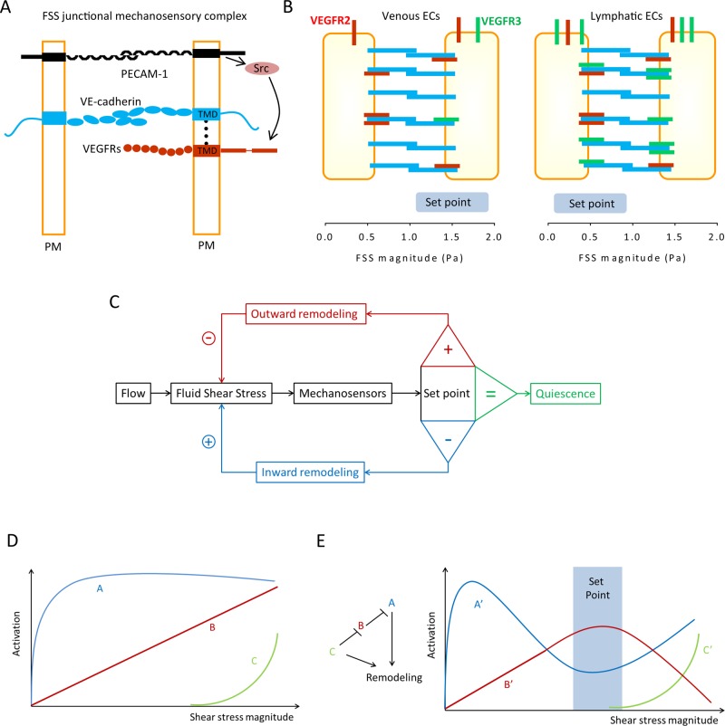 FIGURE 1: