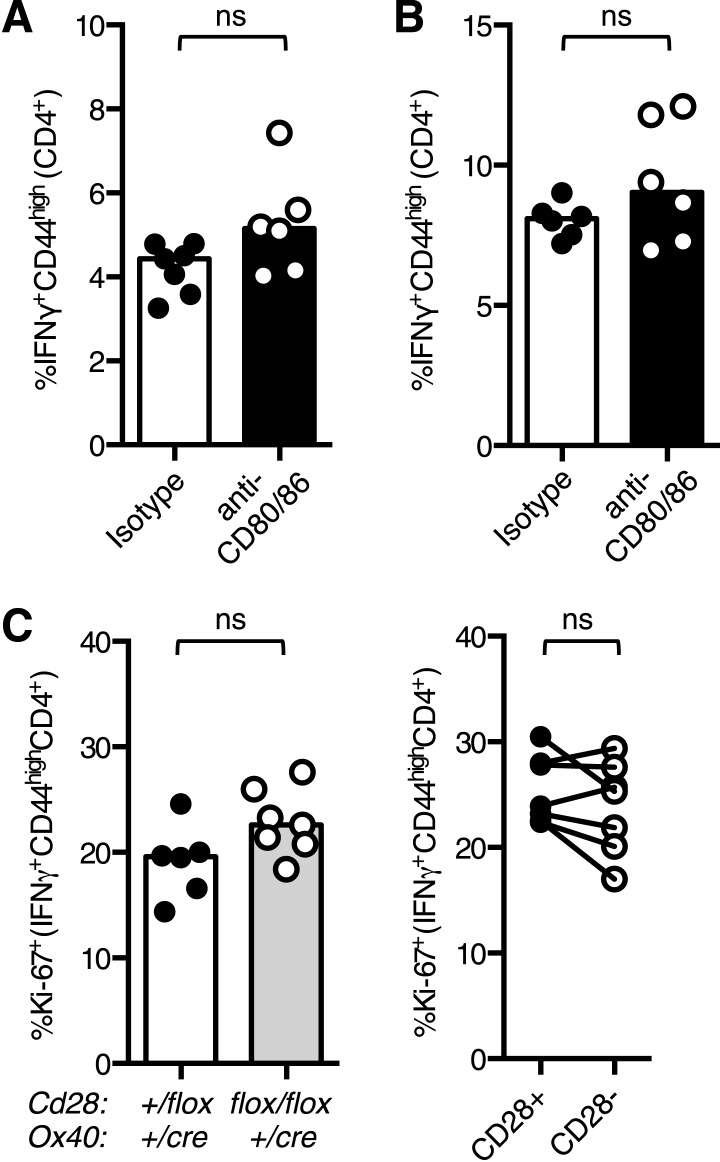 Figure 6—figure supplement 1.