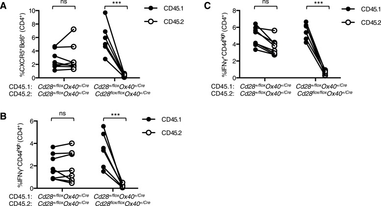 Figure 2—figure supplement 1.